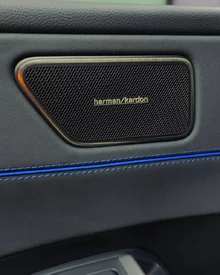 tiguan8.webp